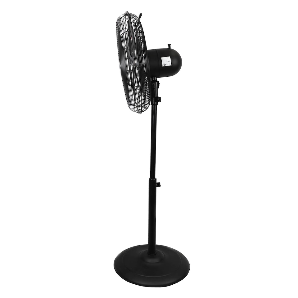 image 1 of Igenix Pedestal Fan, 16 Inch, Oscillating, 3 Speeds, DF1660BL, Black