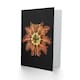 image 2 of Ernst Haeckel Art Card Tunicate Marine Animal on Black
