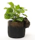 image 4 of Tortoise Plant Pot Hanger - L11 x W6 x H7.5 cm | Bronze