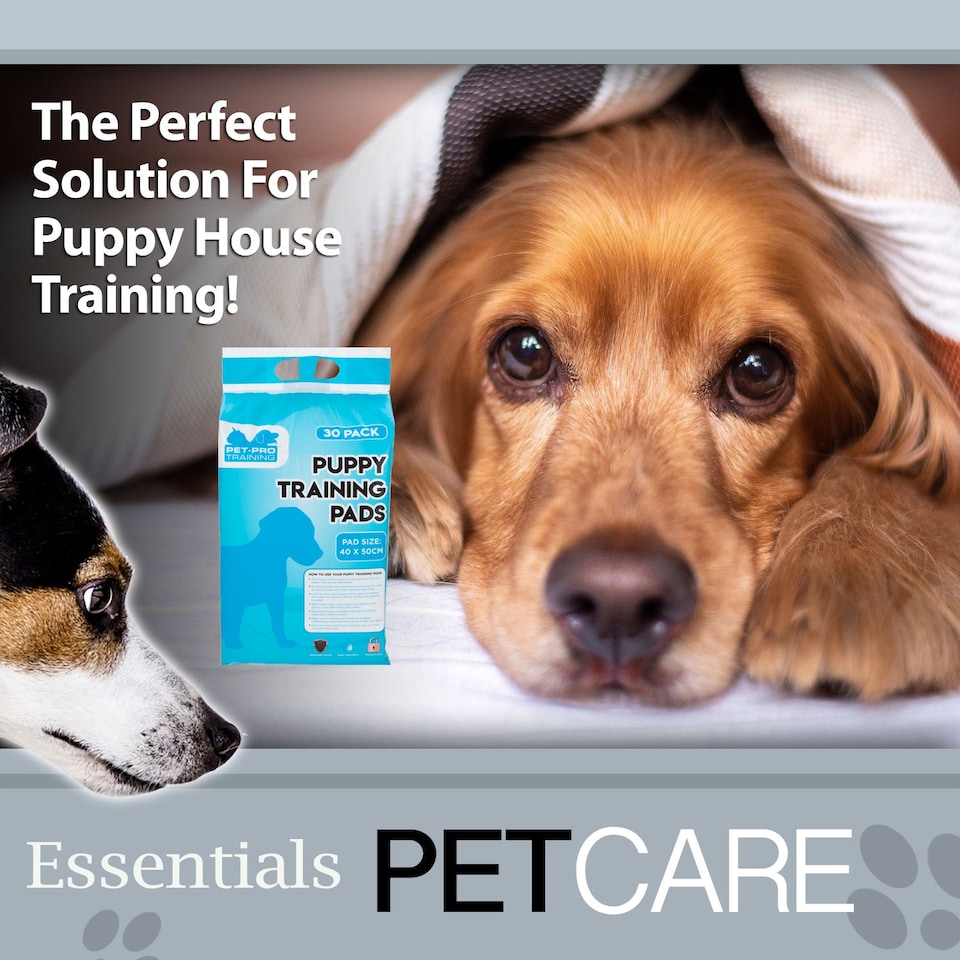 image 1 of VFM e-Store Puppy Training Pads, Pack of 30, 40 x 50 cm
