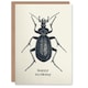 image 1 of Beetle Drawing Vintage Style Creepy Crawly Birthday Card