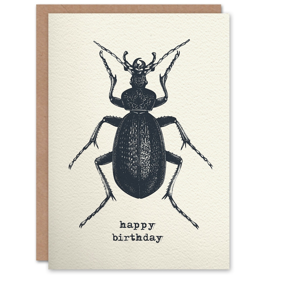 image 1 of Beetle Drawing Vintage Style Creepy Crawly Birthday Card
