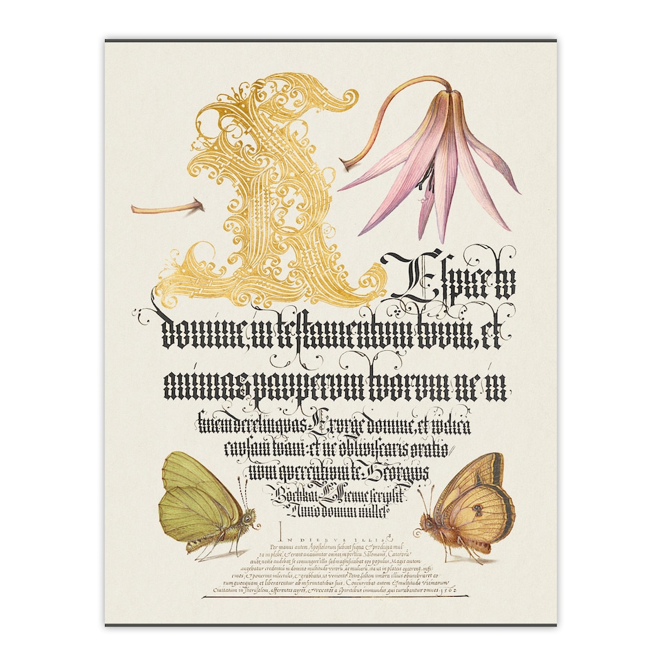 image 1 of Model Book of Calligraphy Framed Wall Art Dog Tooth Violet and Butterflies