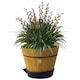 image 3 of Self Watering Barrel Saucer Grey