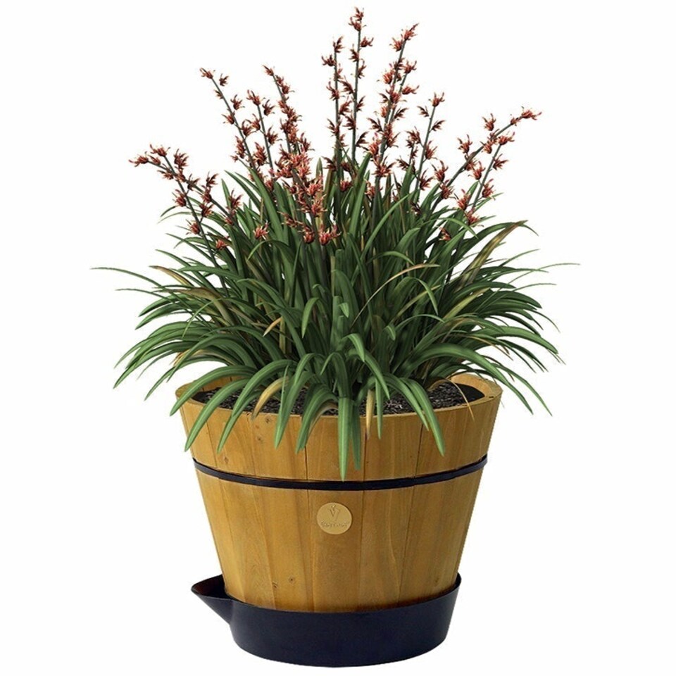 image 1 of Self Watering Barrel Saucer Grey