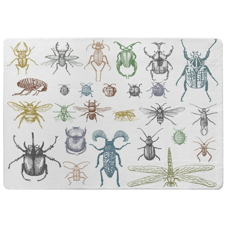 image 1 of big set of insects bugs beetles and bees many species in vintage old hand drawn style (Rug) Multi | S