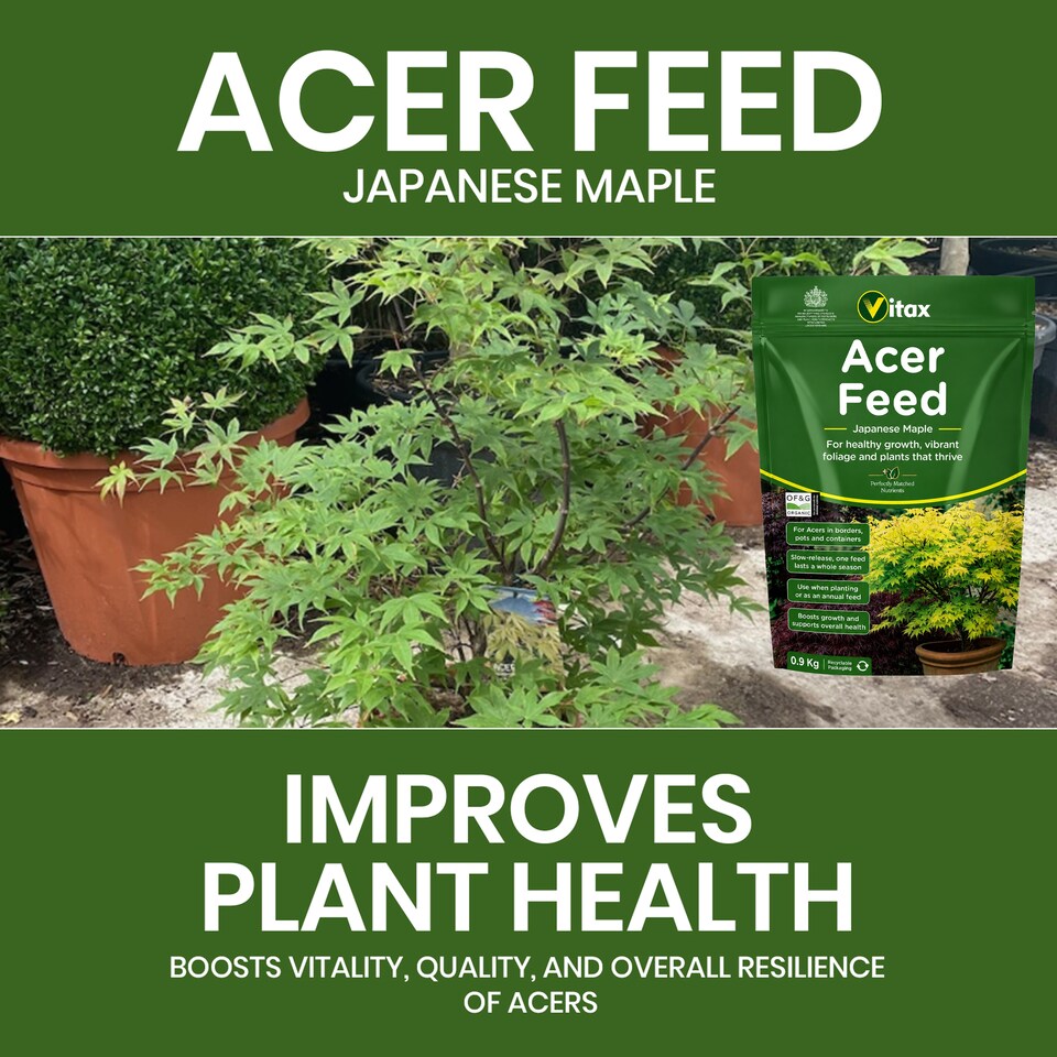 image 1 of Vitax Acer Feed Japanese Maple Tree Organic Plant Feed Healthy Growth Vibrant Foliage 0.9kg