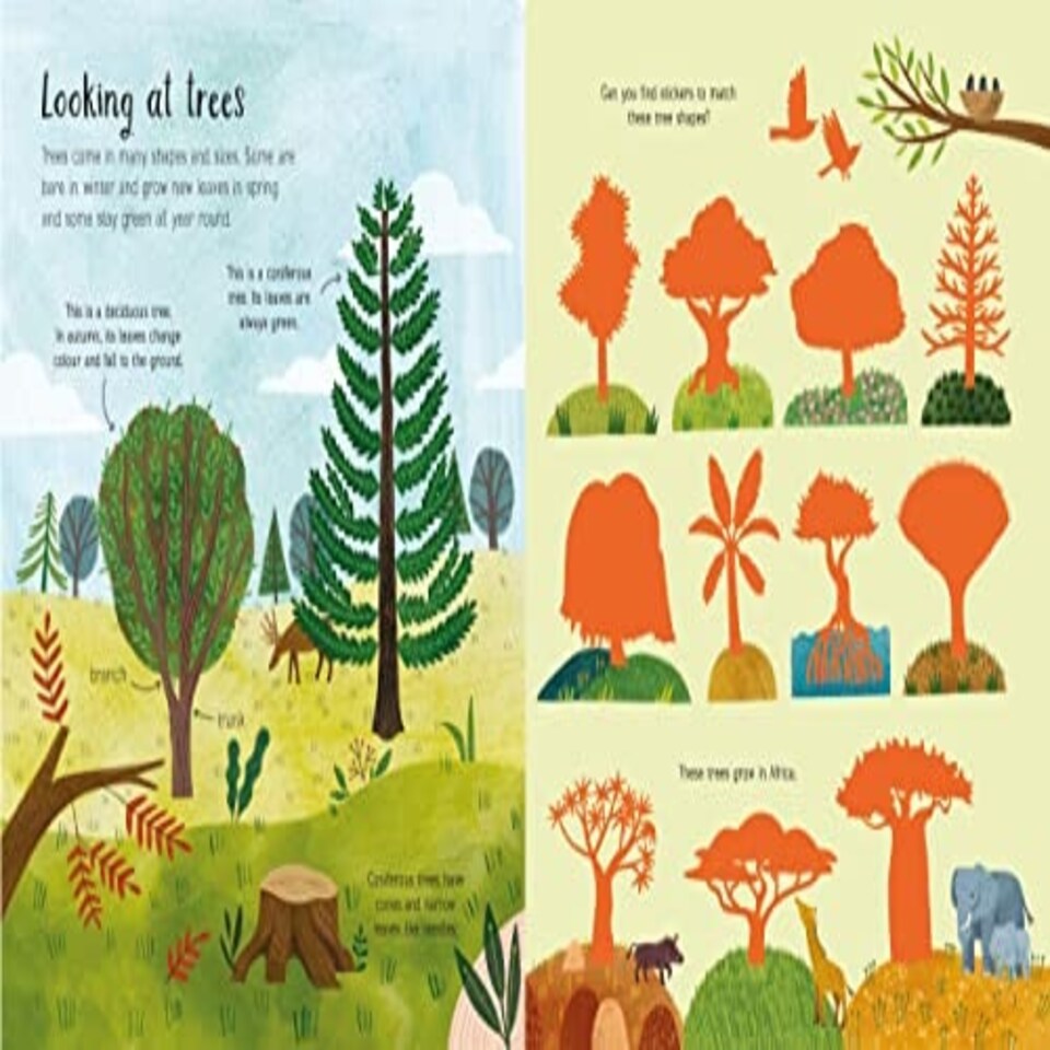 image 1 of First Sticker Book Trees - PAPERBACK - 18D Kids Activity & Sticker - Usborne (HC) - 9781474998925