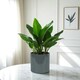 image 2 of Glossy Grey Ceramic Indoor Plant Pot (H15 x W15.5cm) Grey