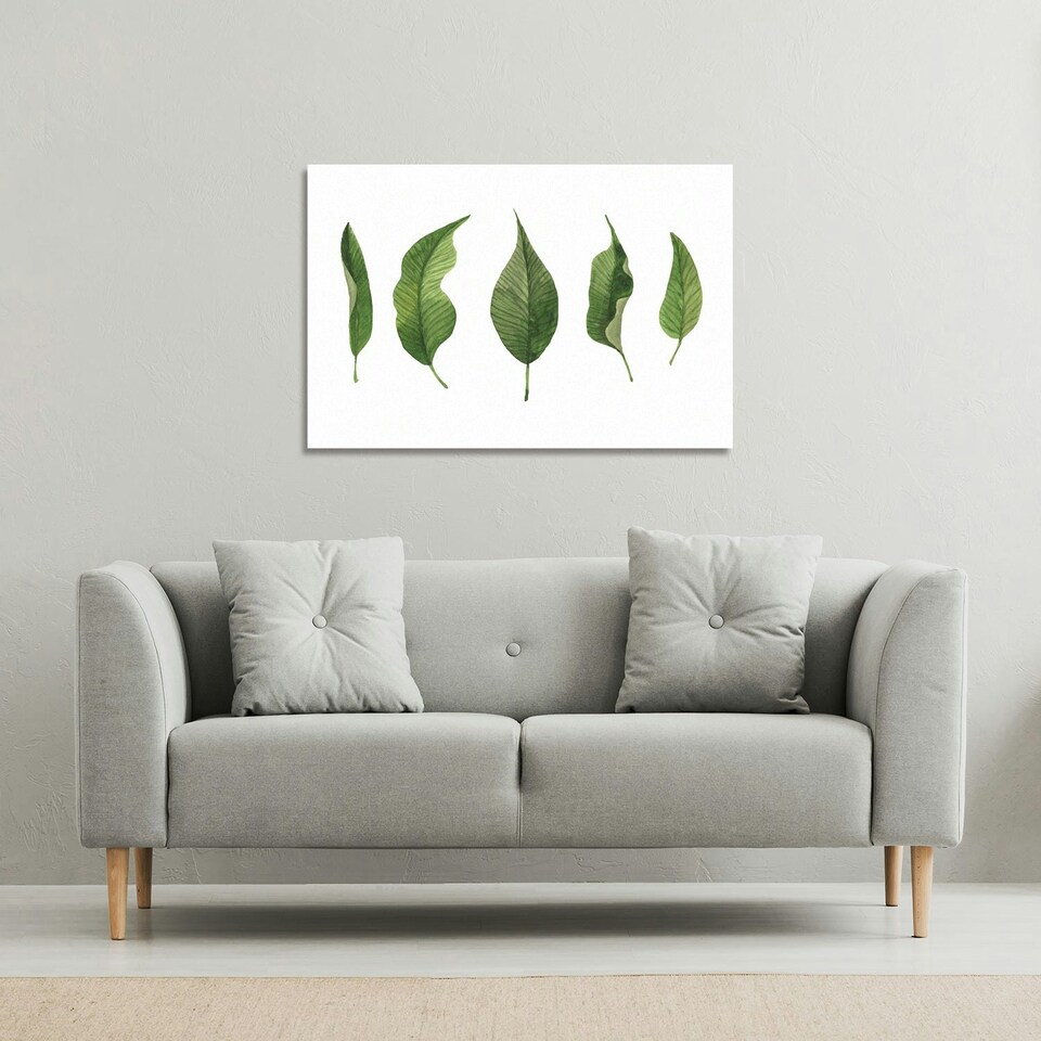image 1 of Selection Of Leaves (Canvas Print)