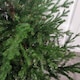 image 6 of 5ft (153cm) Premier Christmas Tree  Glenshee Spruce PE/PVC Natural Look