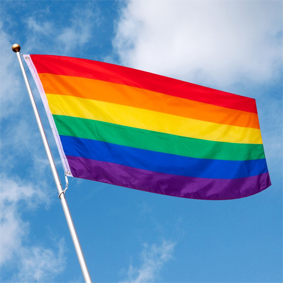 image 1 of Rainbow Pride Flag Inc. Holes 150x90cm