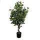 image 2 of Artificial 110cm Evergreen Twist Ficus Tree Multicolour Planter | Green | 3ft