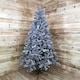 image 5 of 8ft (2.4m) Plain Grey Colorado Spruce Wrapped Christmas Tree 1097 Tips