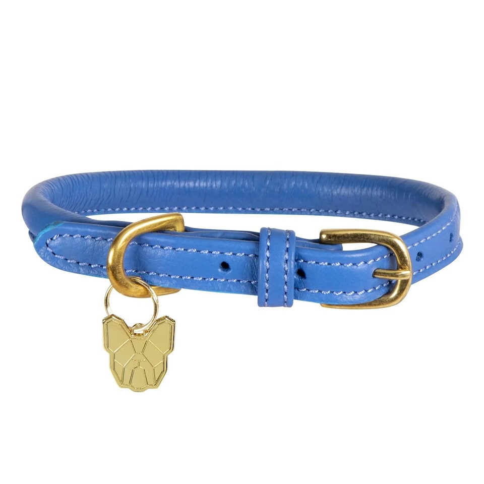 Digby & Fox Rolled Leather Buckle Dog Collar - Royal Blue - XS - Neckline: 28cm-34cm