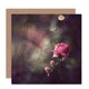 image 1 of Bokeh Pink Rose Flower Photograph Floral Spring Art Card