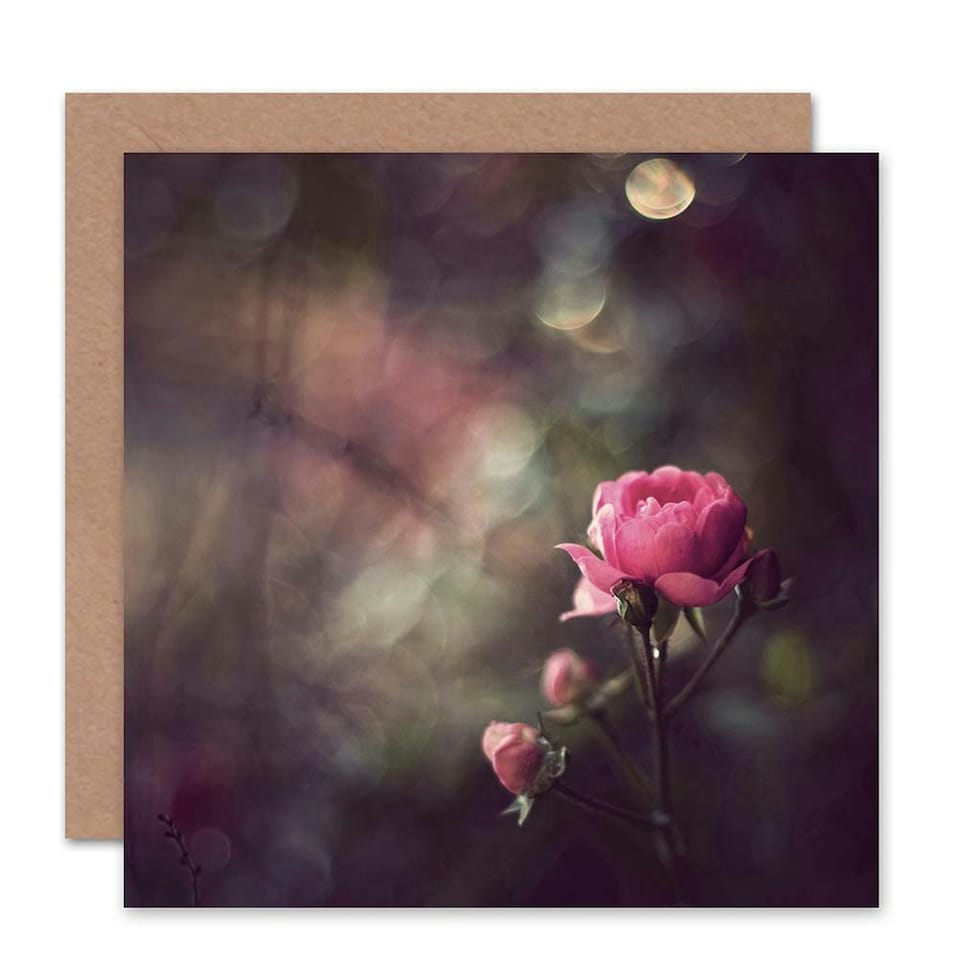 image 1 of Bokeh Pink Rose Flower Photograph Floral Spring Art Card