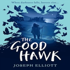 The Good Hawk (shadow Skye Book One)