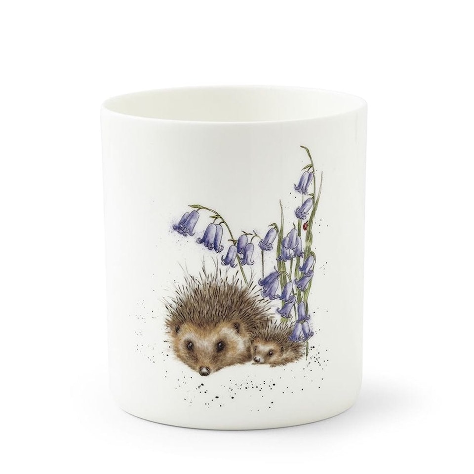 image 1 of Wrendale Designs Hedgehogs and Bluebells Utensil Holder