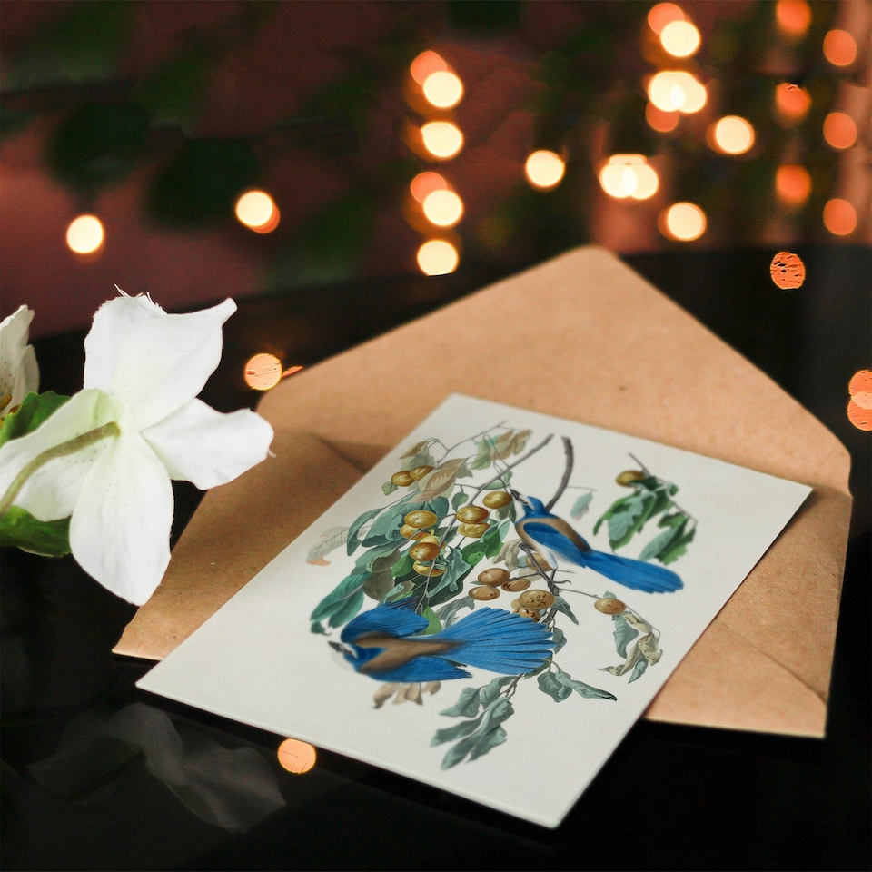 image 1 of John James Audubon Art Card Florida Jay and Persimmon Tree
