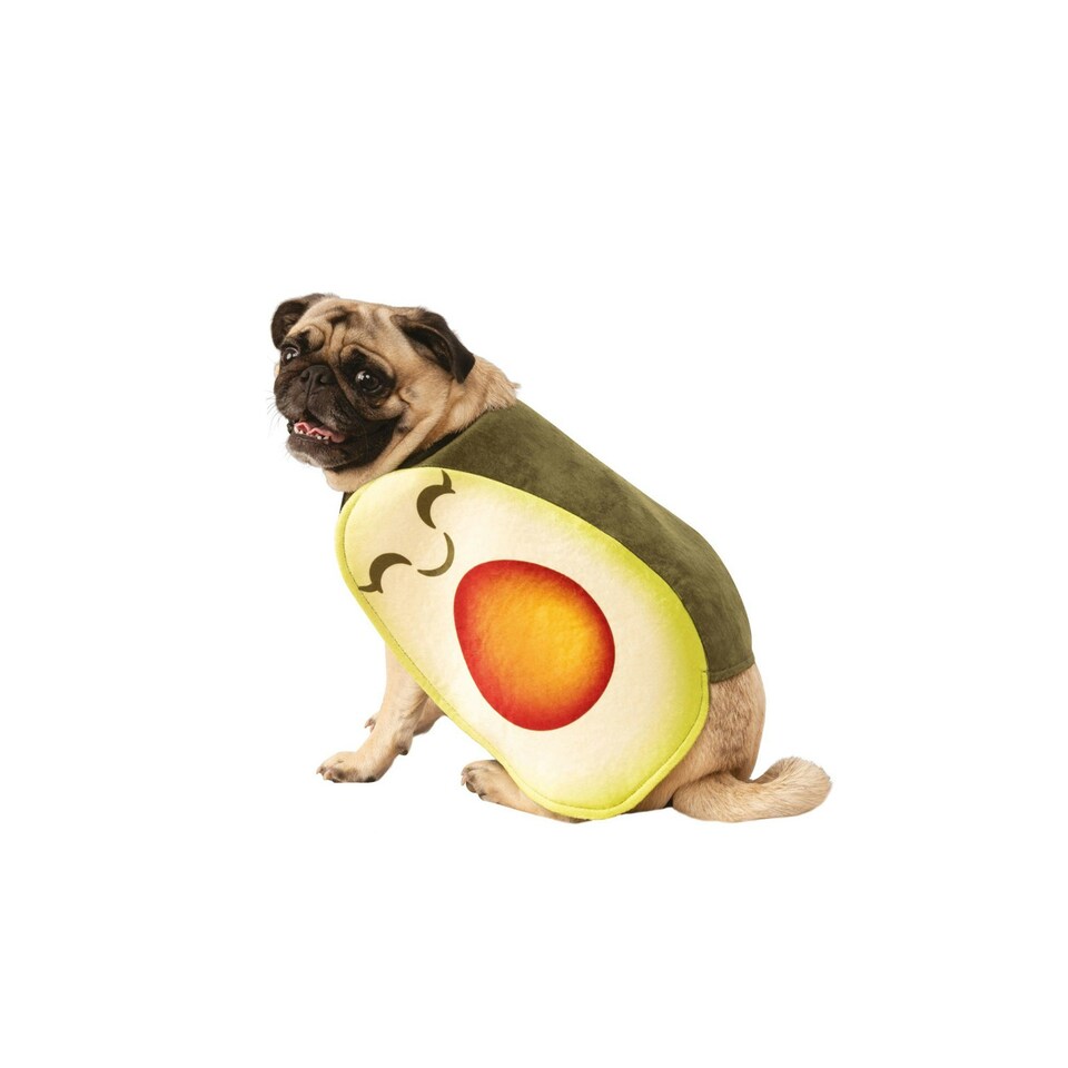 Bristol Novelty Avocado Dog Costume - Green - L-23in