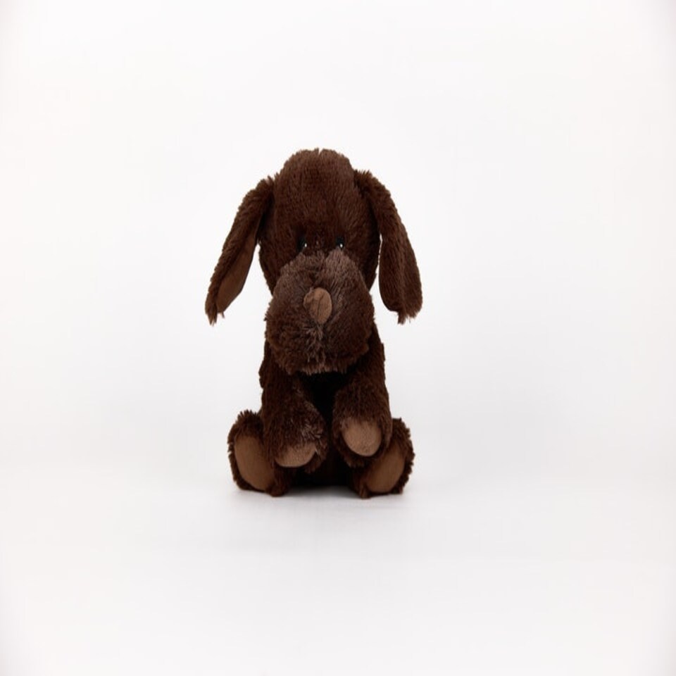 image 1 of Warmies Plush Chocolate Labrador Microwavable LARGE