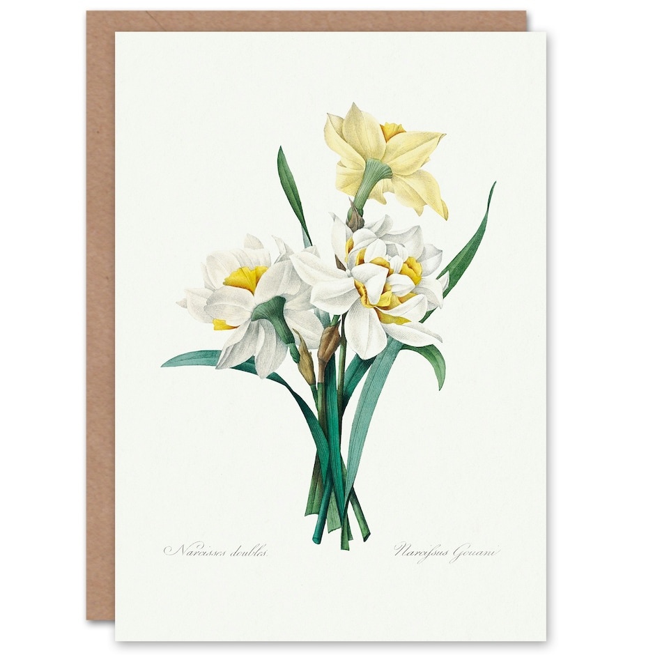 image 1 of Pierre-Joseph Redouté Art Card Daffodil Vintage Floral Illustration
