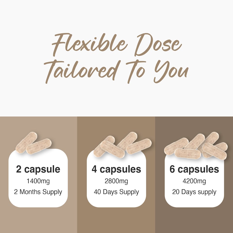 image 1 of Zipvit Psyllium Husk 1400mg, Natural High Strength Fibre Supplement, 120 Vegan Capsules