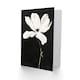 image 2 of Greeting Card White Flower Bloom Black Background Watercolour Sympathy