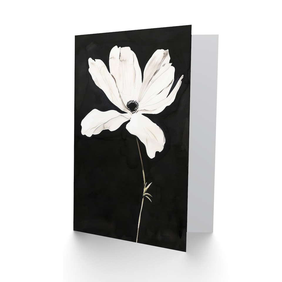 image 1 of Greeting Card White Flower Bloom Black Background Watercolour Sympathy