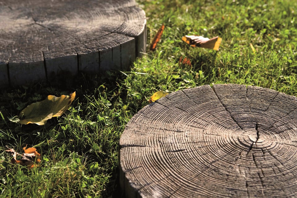image 1 of Log Shaped Feature Stepping Stone 360mm x 50mm Driftwood - Full Pallet of 20 - Bowland Stone