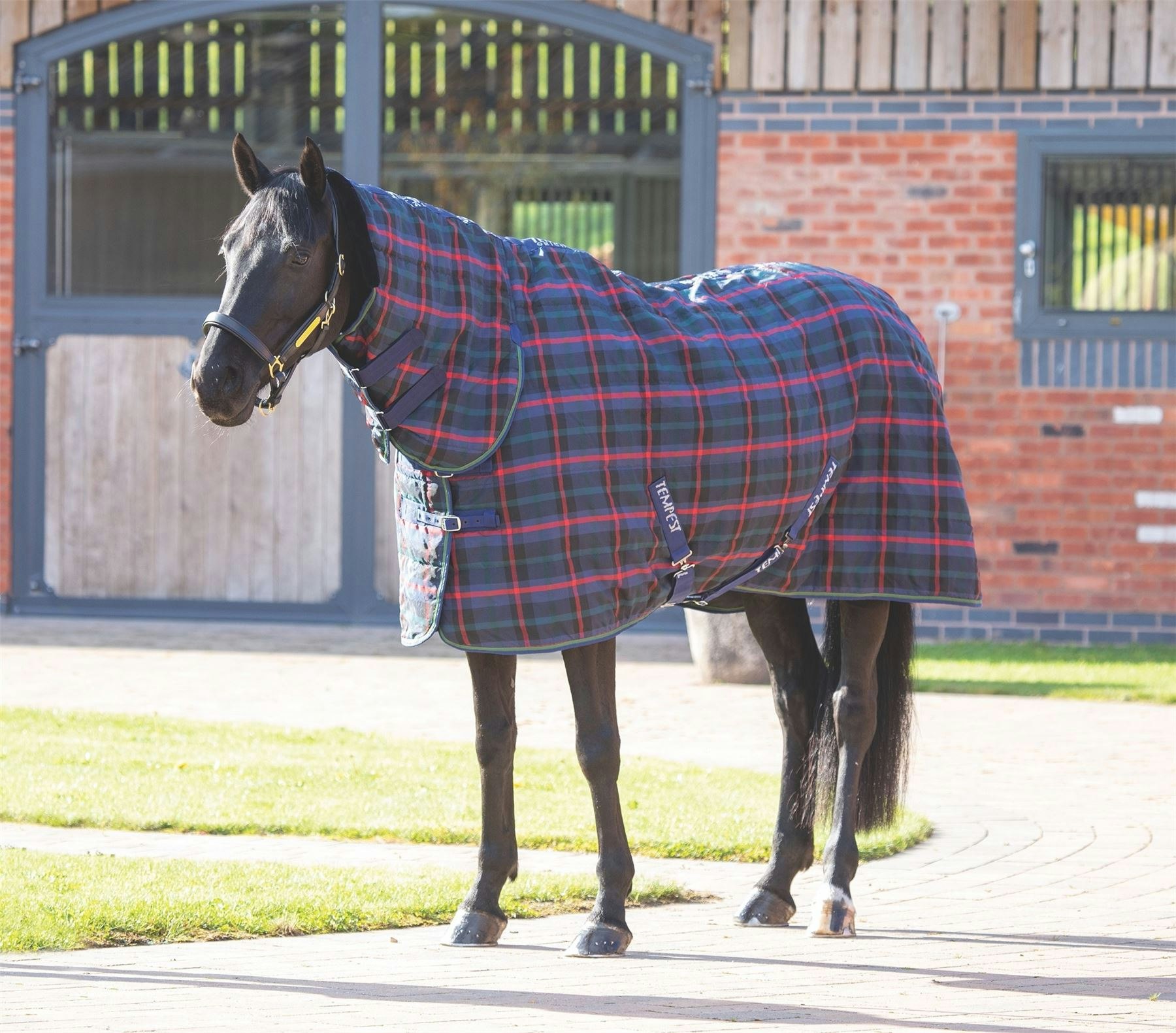 Shires Tempest Plus 100 Stable Combo Rug | Blue | Colour: Navy Tartan ...