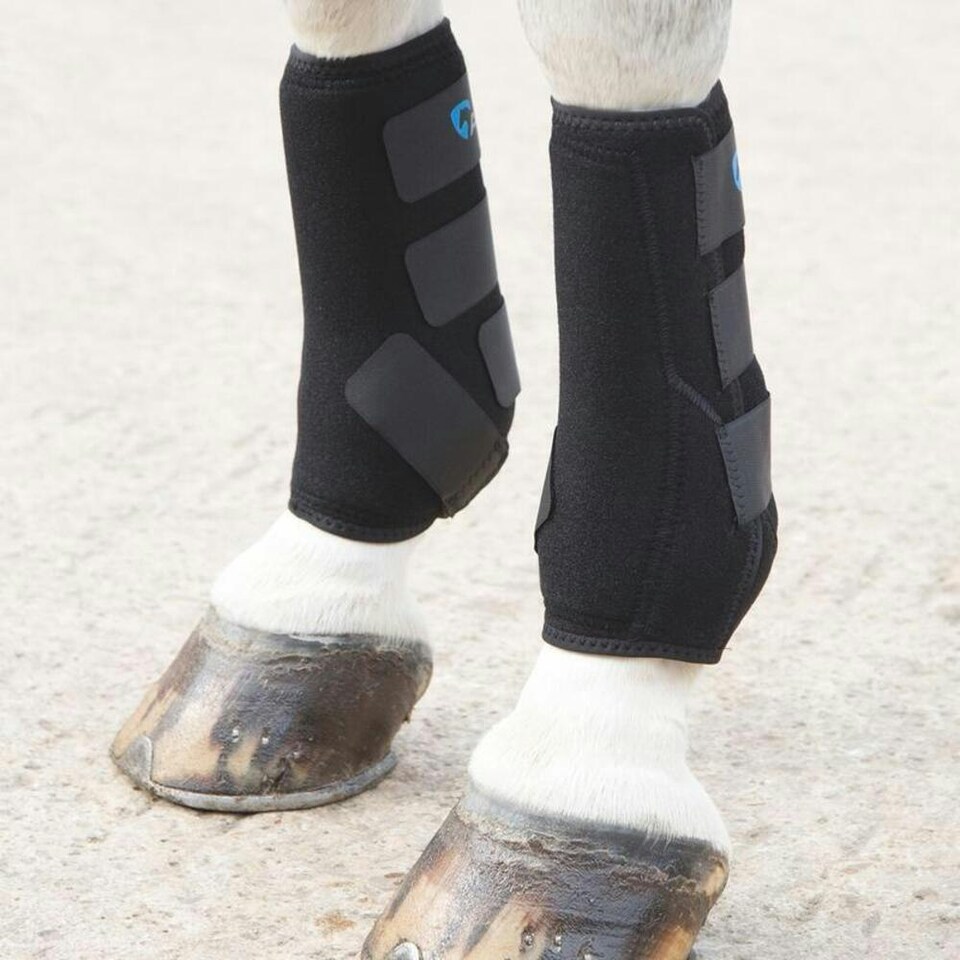image 1 of ARMA Sports Horse Boots - Black - Cob