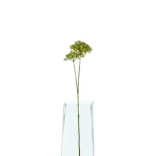 Hill Interiors Hydrangea Artificial Flower - Green - One Size (UTHI4817)
