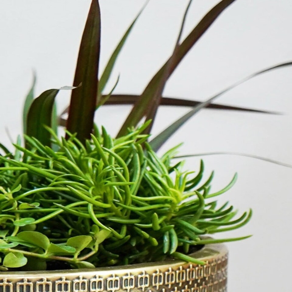 image 1 of Hammered Bowl Planter - Iron - L30 x W30 x H21 cm - Black/Gold Gold