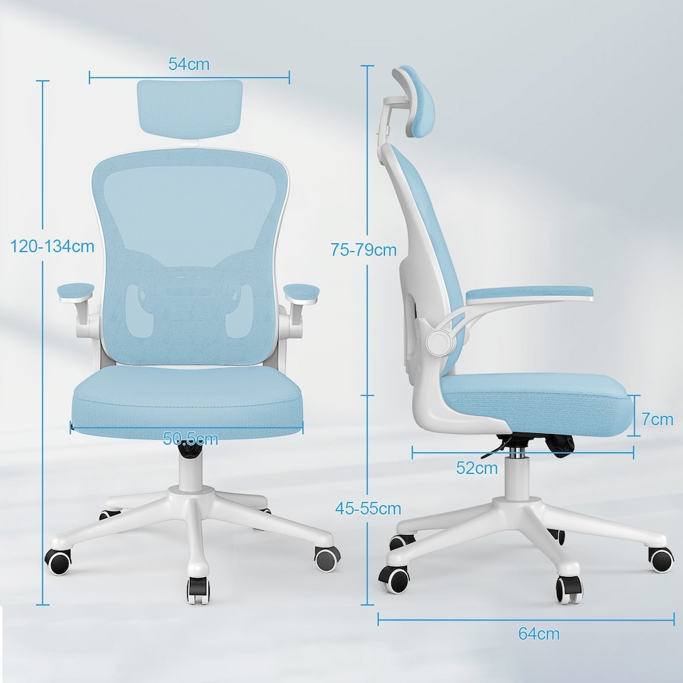 image 1 of Rattantree Ergonomic Office Chair With Headrest & Lumbar Support