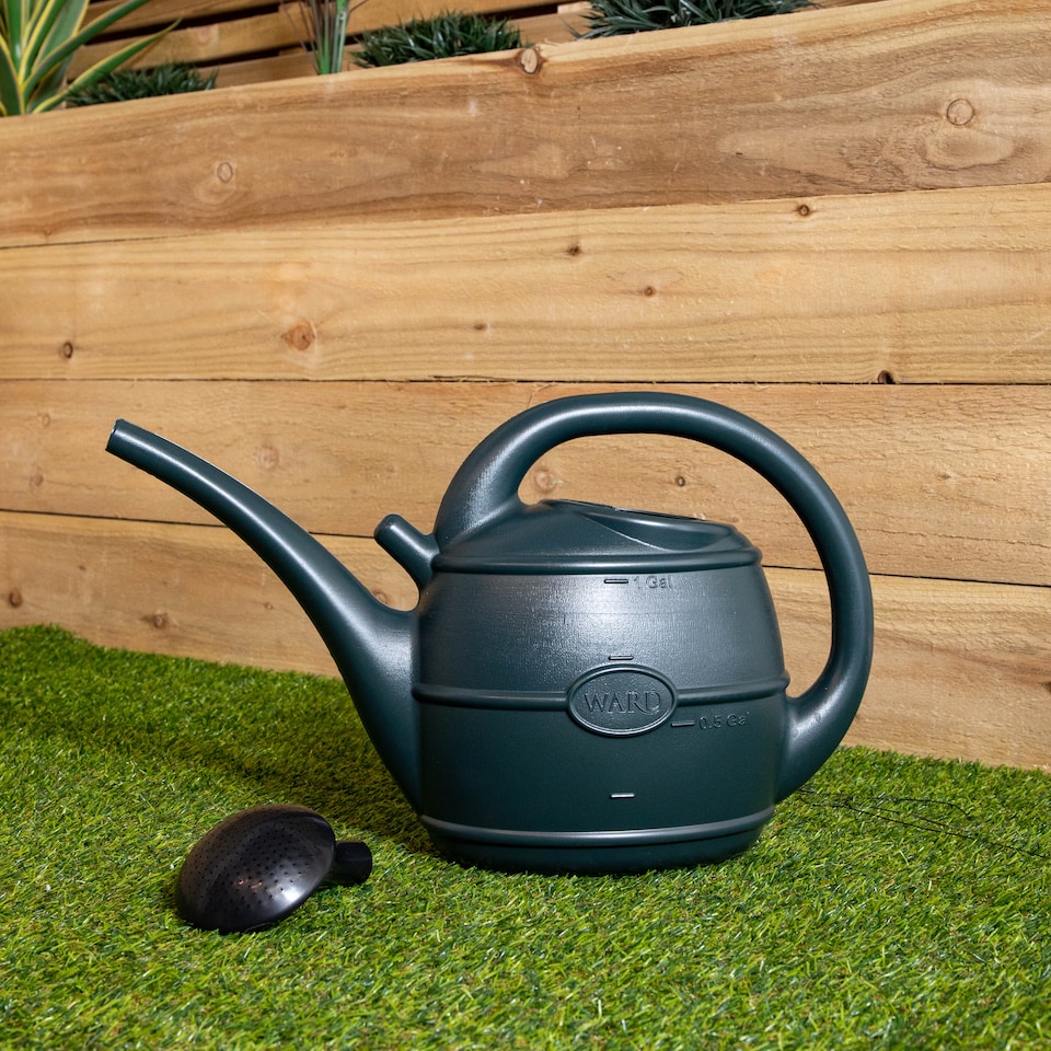 image 1 of 5L Garden Patio Ward Watering Can with Rose in Green
