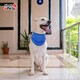 image 4 of Dog Cat Puppy Cooling Bandana Pet Cooler Ice Cool Scarf Collar Relief Med. Large Blue | L