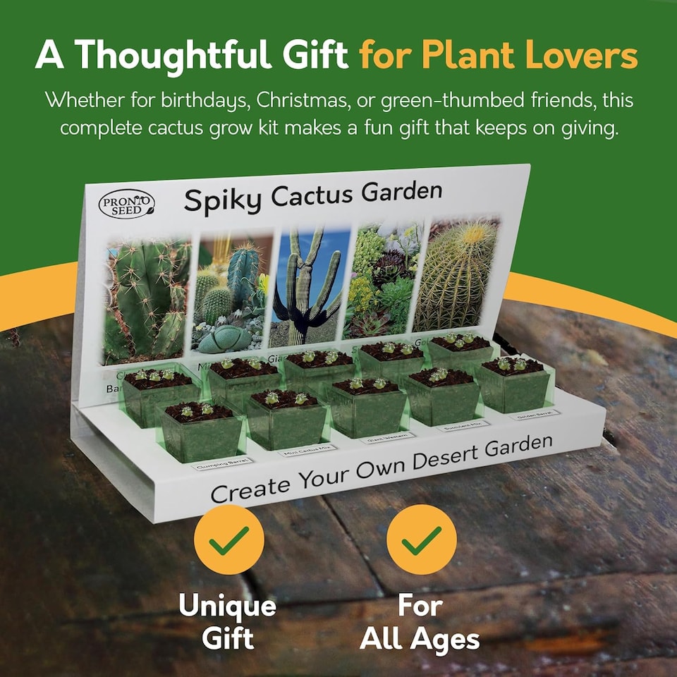 image 1 of Pronto Seed Grow Your Own Cactus Flower Seed Kit - 5 Succulent Varieties - A Low Maintenance Gift That Lasts | Multi | Cactus | 1