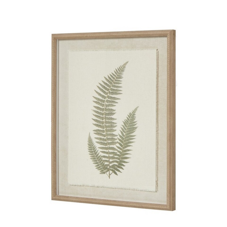 image 1 of Fern Art on Texture-Torn Paper with Beaded Frame - Glass - L2 x W40 x H50 cm - White | Brown | Not provided