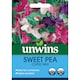 image 4 of Sweet Pea Cupid Mix | Multi | Mixed | Flower Seeds | 1