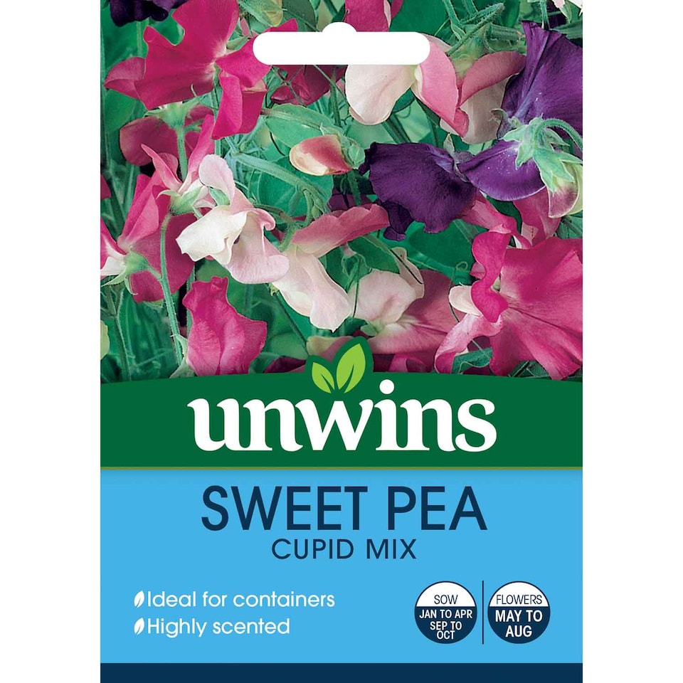 image 1 of Sweet Pea Cupid Mix | Multi | Mixed | Flower Seeds | 1