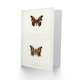 image 2 of Sherman Denton Art Card Question Mark Butterfly Vintage Illustration