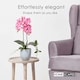 image 6 of Homescapes Pink Orchid 54 cm Phalaenopsis in Ceramic Pot