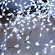 image 2 of 12.8m Compact MicroBrights Christmas Lights with 800 LEDs in White