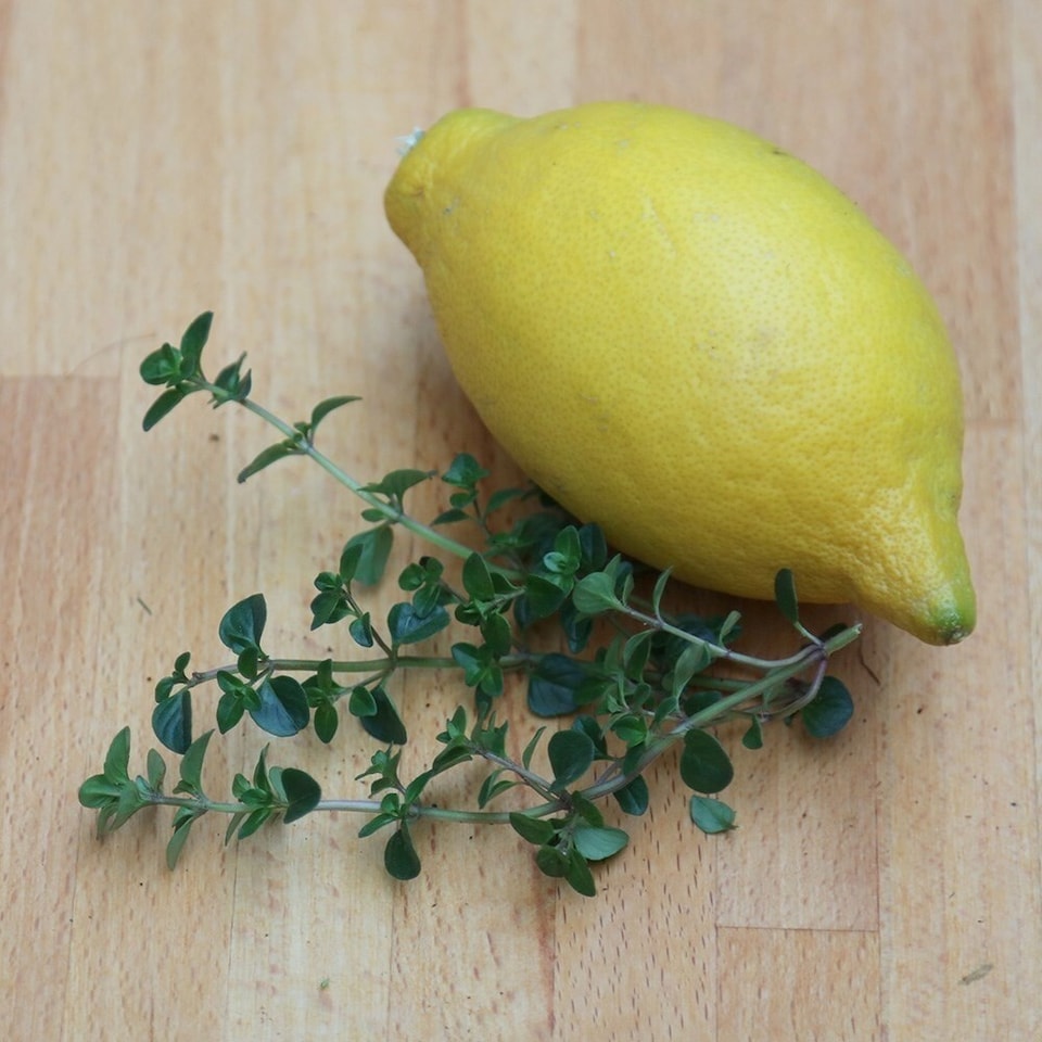 Lemon Thyme Herb Plant Thyme Culinary Lemon 9cm Pot | Green | Green | 9cm Pot | 1