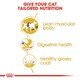 image 7 of ROYAL CANIN® Siamese Adult Dry Cat Food N/A | Size: 10kg
Breed: Adult