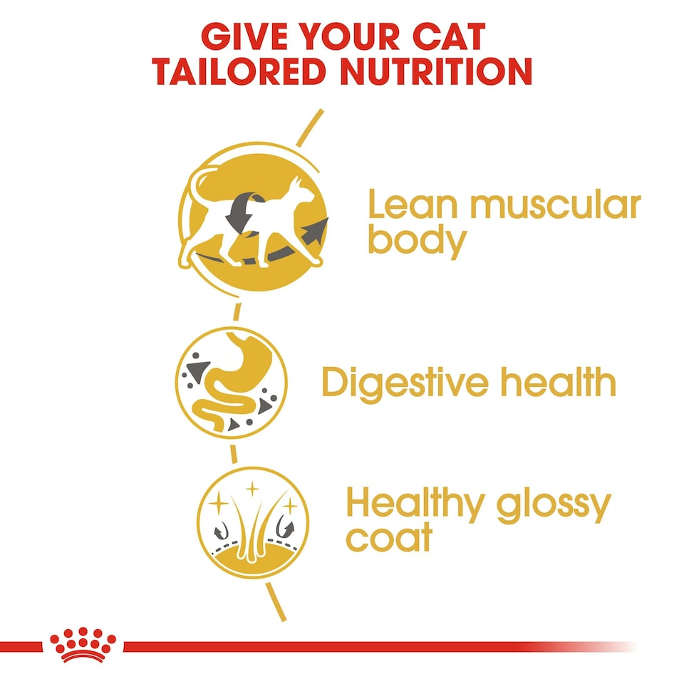 image 1 of ROYAL CANIN® Siamese Adult Dry Cat Food N/A | Size: 10kg
Breed: Adult