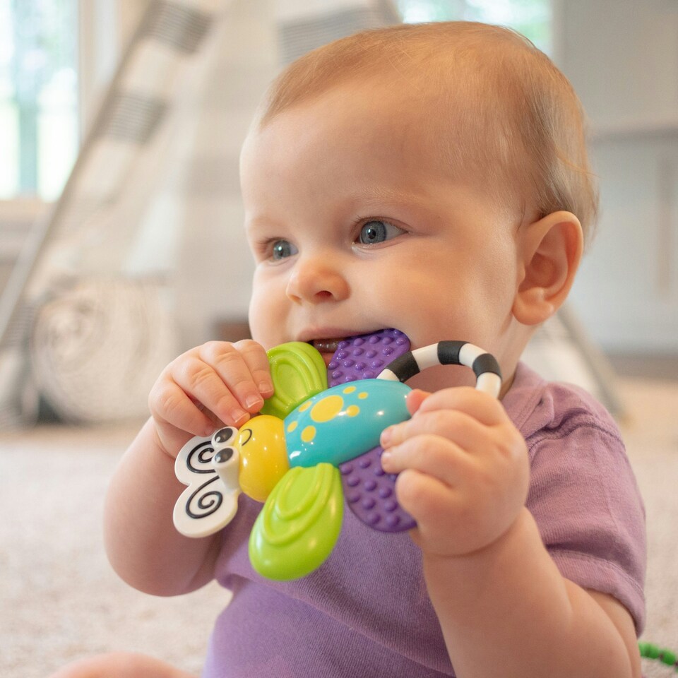 image 1 of Sassy Flutterby Teether