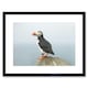 image 1 of Atlantic Puffin Bird Rock Sea Photo Home Decor 12x16" Framed Wall Art Print